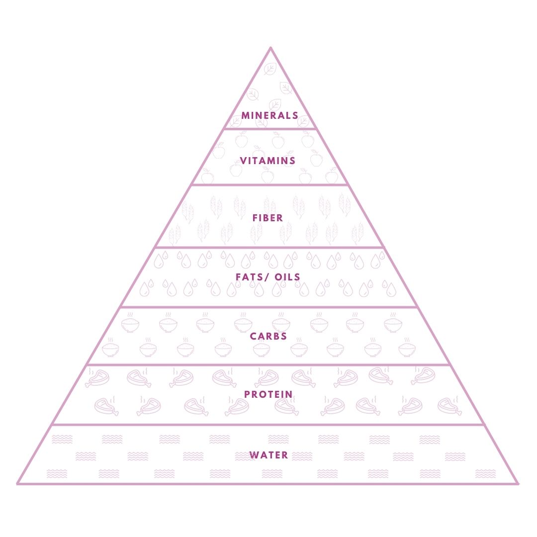 dog nutrition pyramid
