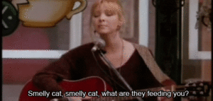 Phoebe Buffay singing smelly cat