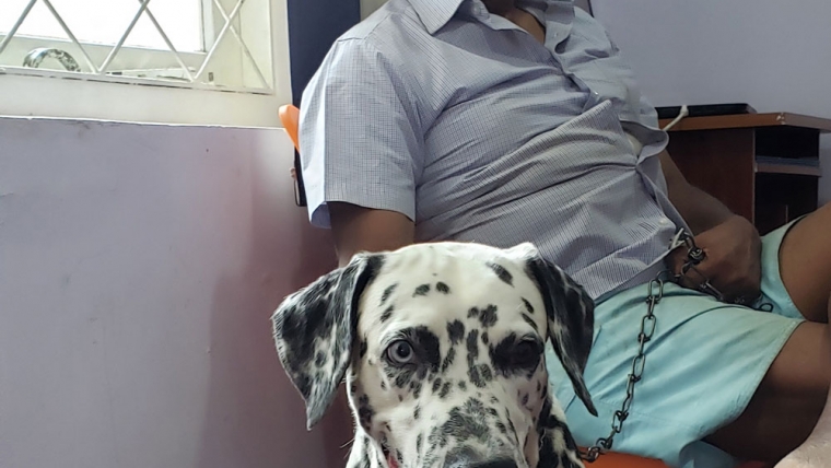 Happy Client 3