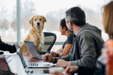 Can Dogs Understand Human Speech?