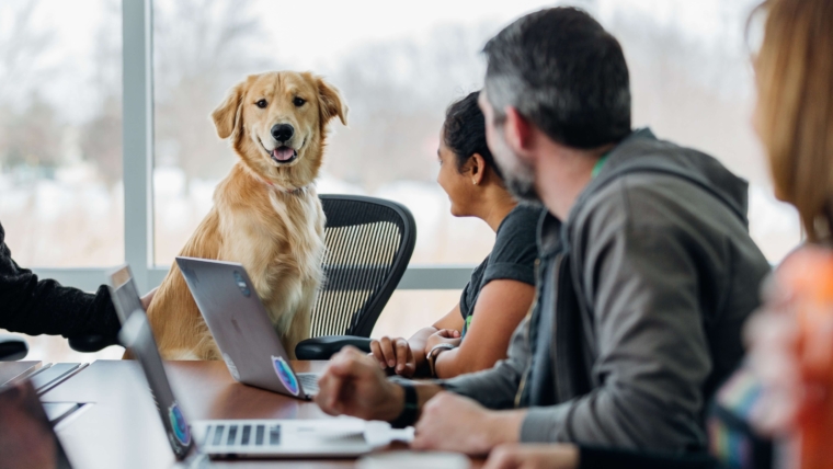 Can Dogs Understand Human Speech?