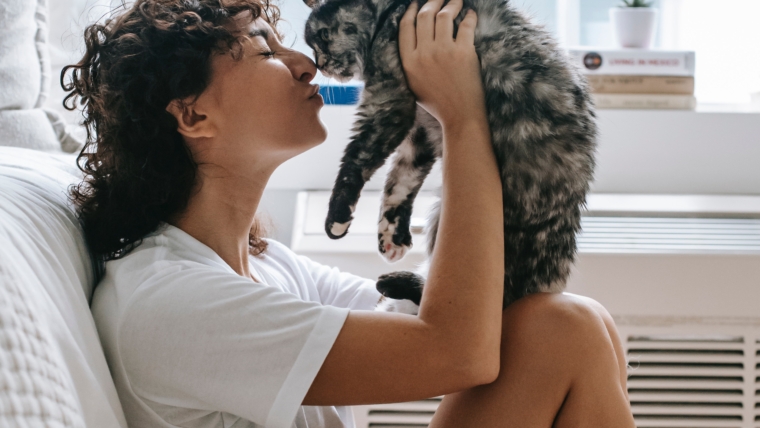 11 Signs Your Cat Loves You