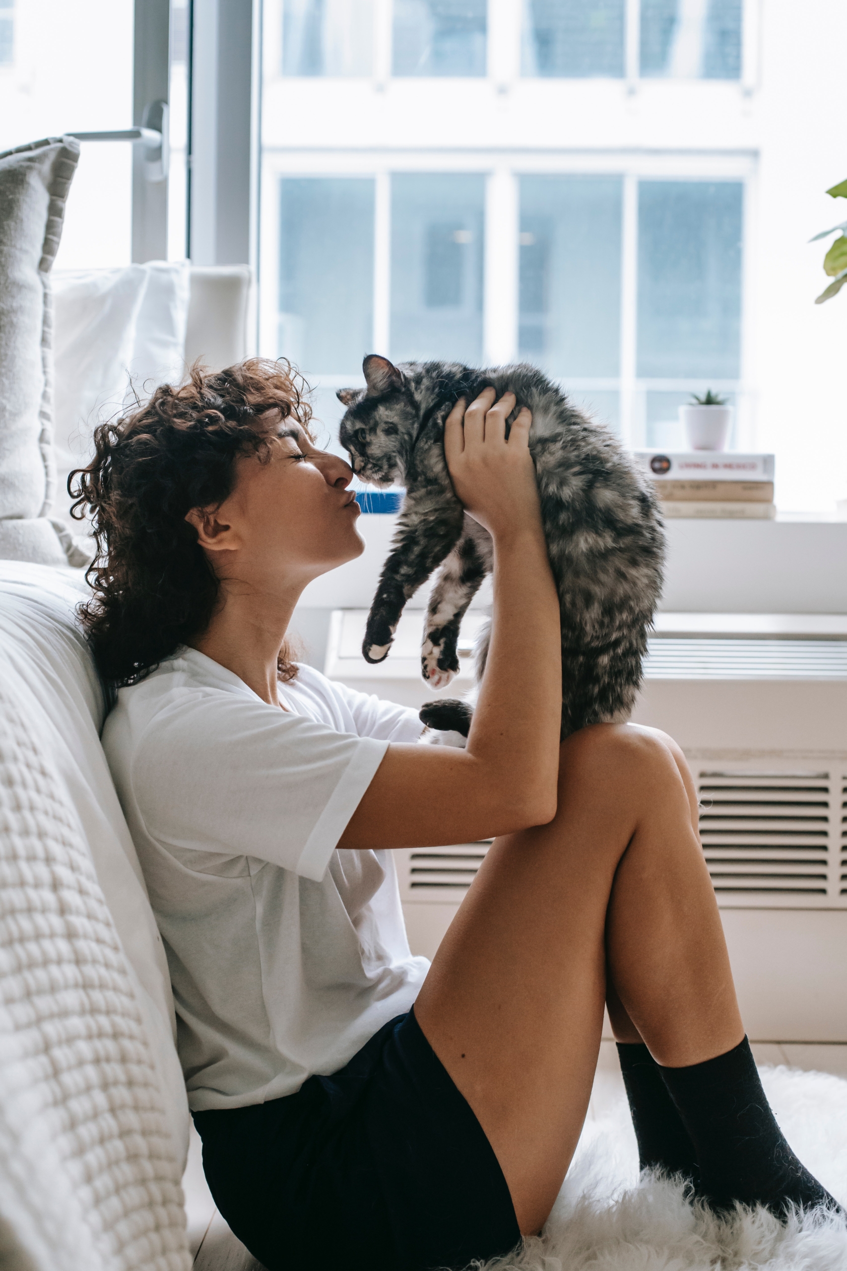 11 Signs Your Cat Loves You