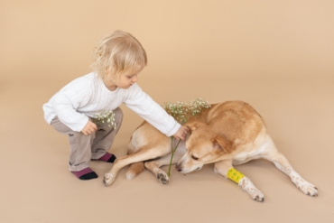 Kids and Pets: 6 Ways to Make Them Get Along
