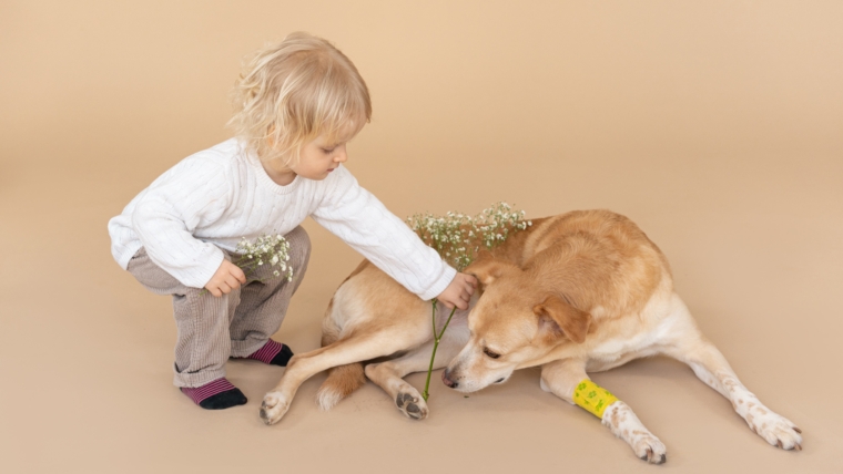 Kids and Pets: 6 Ways to Make Them Get Along