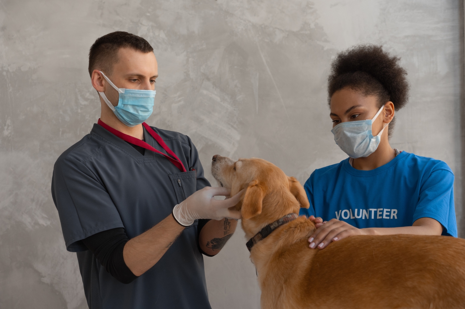 The Ultimate Guide to Dog Vaccinations PetVet Clinic Full Service