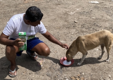 ARV Vaccination Drive at Narahenpita Jathika Pola