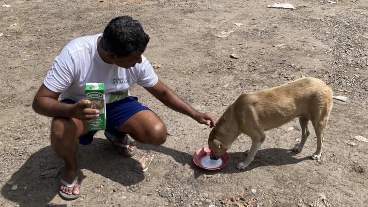 ARV Vaccination Drive at Narahenpita Jathika Pola