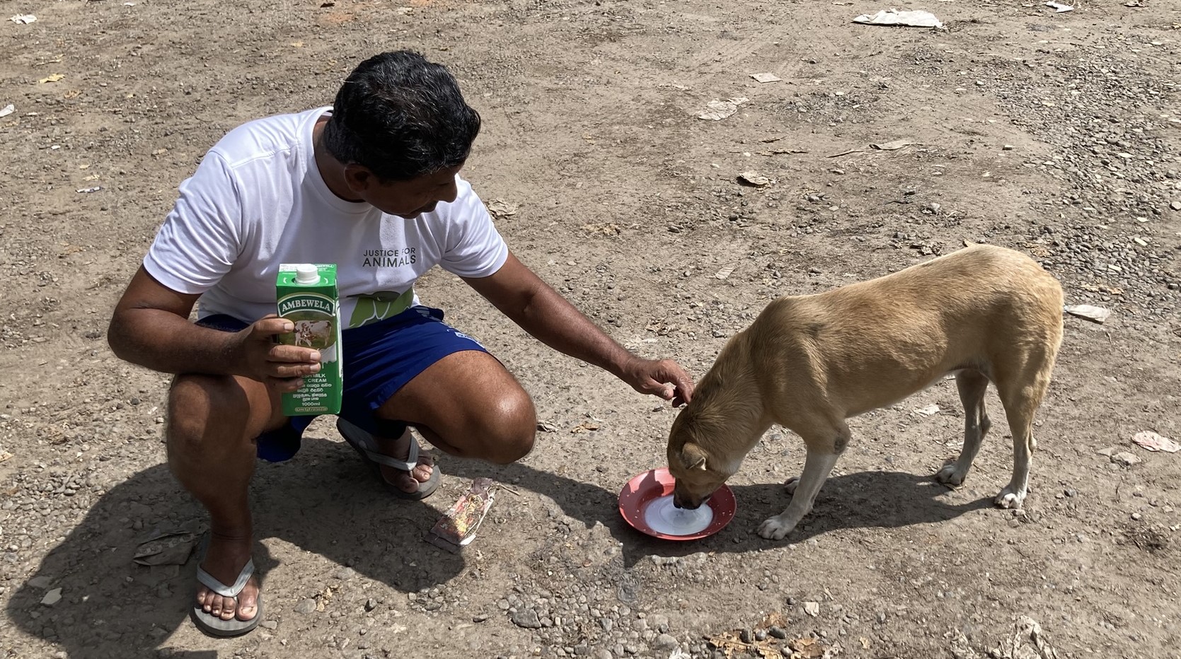ARV Vaccination Drive at Narahenpita Jathika Pola