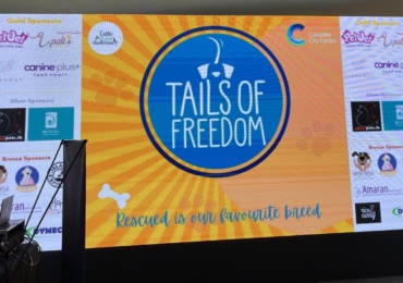 Partnered with ToF: Unethical Breeding Practices in Sri Lanka