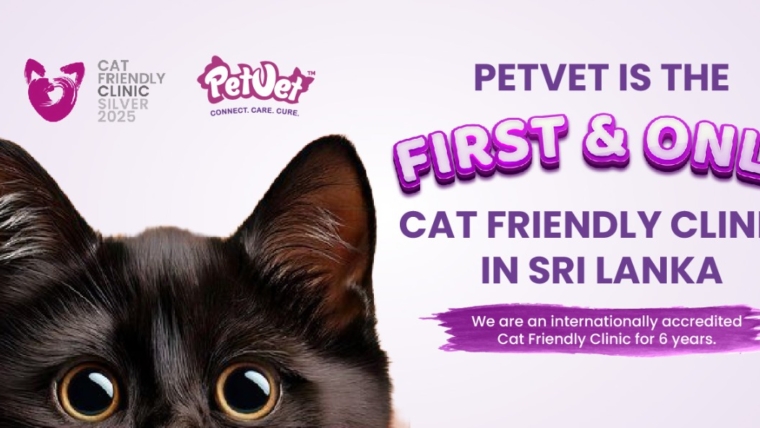 PetVet is the First & Only Cat Friendly Clinic in Sri Lanka