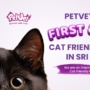 PetVet is the First & Only Cat Friendly Clinic in Sri Lanka