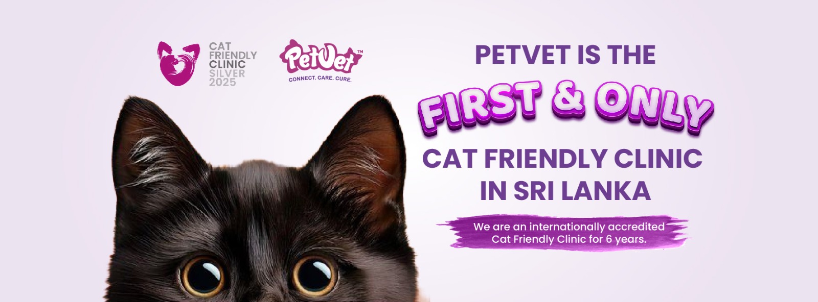 PetVet is the First & Only Cat Friendly Clinic in Sri Lanka